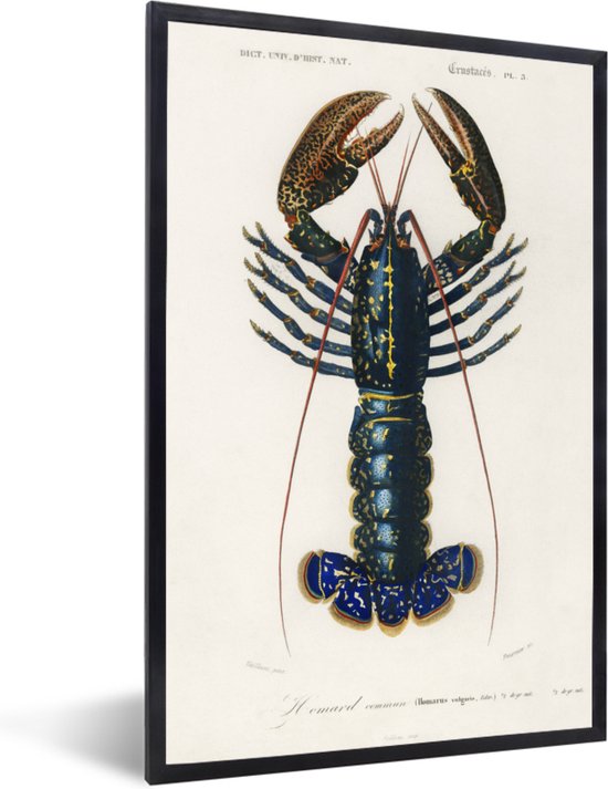 Cadre photo avec affiche - Homard - Blauw - Vintage - 80x120 cm - Cadre pour affiche