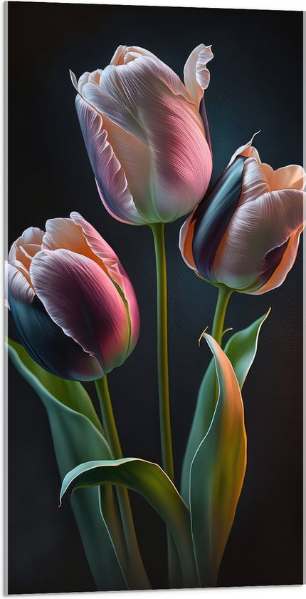 Acrylglas - Roze tulpen voor een zwarte achtergrond - Bloemen - 50x100 cm Foto op Acrylglas (Wanddecoratie op Acrylaat)