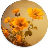 Dibond Muurcirkel - Oranje Boterbloemen bij Licht Bruine Achtergrond - 30x30 cm Foto op Aluminium Muurcirkel (met ophangsysteem)