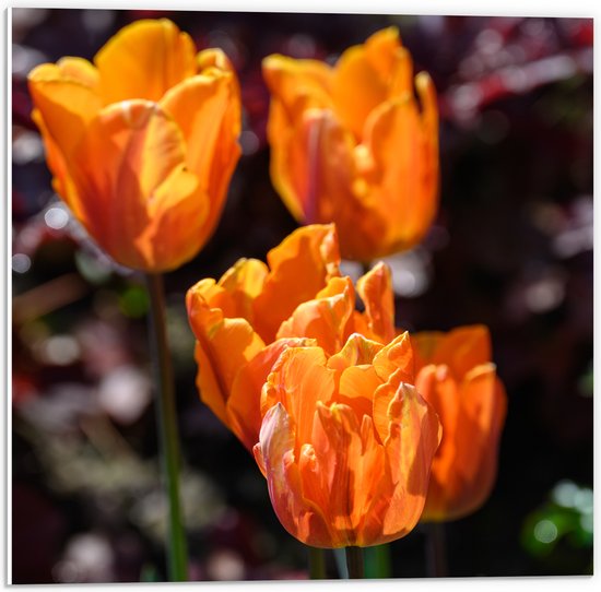 Zijden papegaai tulp (roze) 40 cm - 5 stuks | De Boer Luxury