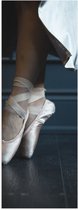Poster (Mat) - Ballerina aan het Dansen op Spitzen - 20x60 cm Foto op Posterpapier met een Matte look