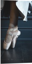 PVC Schuimplaat - Ballerina aan het Dansen op Spitzen - 50x100 cm Foto op PVC Schuimplaat (Met Ophangsysteem)