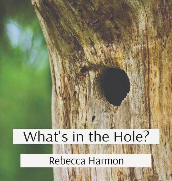What's in the Hole?