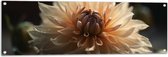 Tuinposter – Witte Dahlia Bloem met Donkere Achtergrond - 120x40 cm Foto op Tuinposter (wanddecoratie voor buiten en binnen)