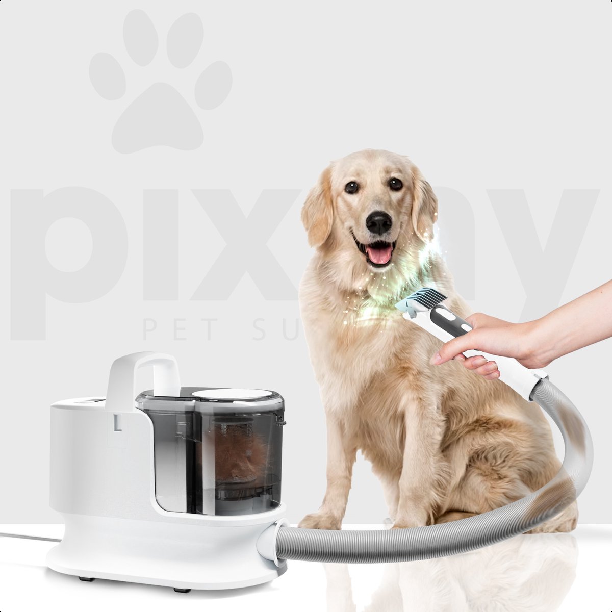 PIXMY - Machine de toilettage pour animaux de compagnie - PGM350W -  Épilateur pour