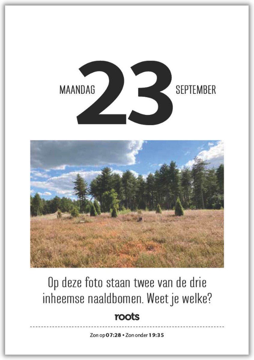 Roots Scheurkalender 2024