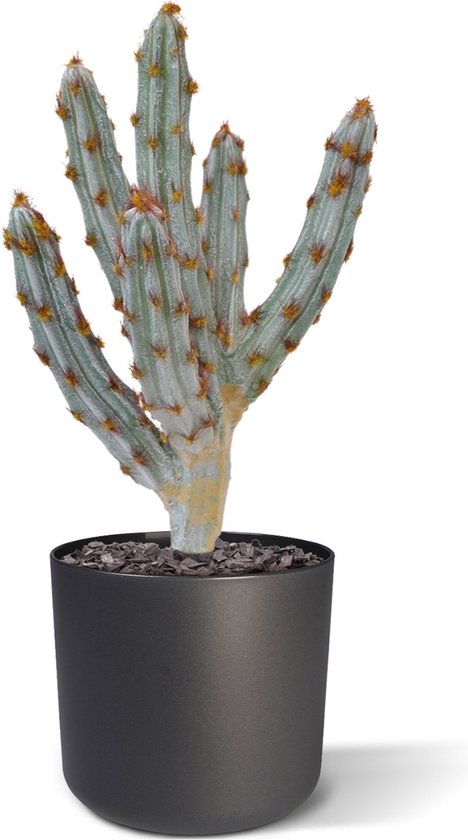 Tetragonus kunst Cactus 35cm - bruin