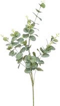 Kunstbloemen - Zijde Bloemen - Nep bloemen Luxe Bloemen - Eucalyptus 75 cm - Natuurlijk Bloemen