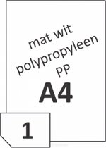 R0500.1123.B Rayfilm Etiquettes autocollantes en polypropylène (PP) blanc mat 60µ 210x297 mm - 1 par feuille - 50 étiquettes par boîte de 50 feuilles