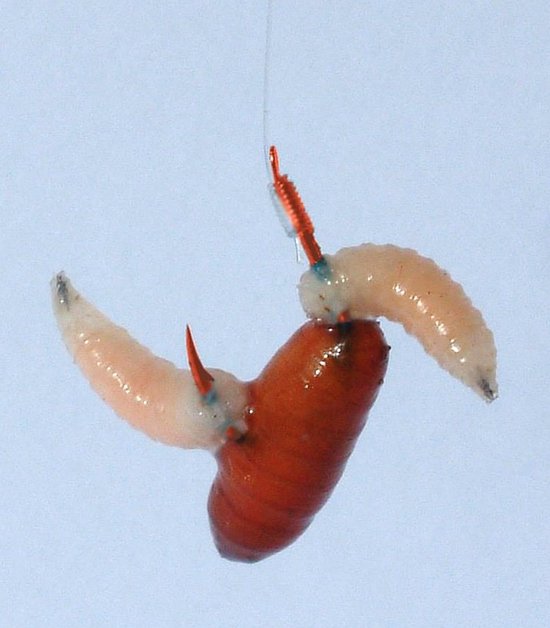 Gamakatsu Onderlijnen Competition Feeder 100cm Haak 2210R (10 pcs) - Maat : haak 16 - 0.14mm van Gamakatsu — afbeelding 2
