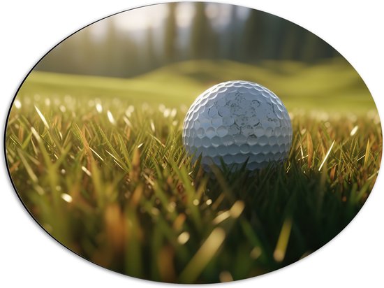 Dibond Ovaal - Gras - Golf - Golfbal - 56x42 cm Foto op Ovaal (Met Ophangsysteem)