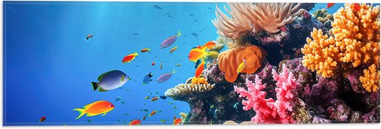 Vlag - Felkleurige Koraal Omringd door Tropische Vissen op Zeebodem - 60x20 cm Foto op Polyester Vlag