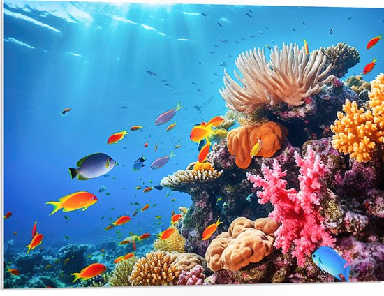 PVC Schuimplaat - Felkleurige Koraal Omringd door Tropische Vissen op Zeebodem - 80x60 cm Foto op PVC Schuimplaat (Met Ophangsysteem)