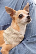 Dubbelzijdige Bandana hond (Extra Small) - Herfst design - Ted.Dog - bandana hondenhalsband - honden sjaal