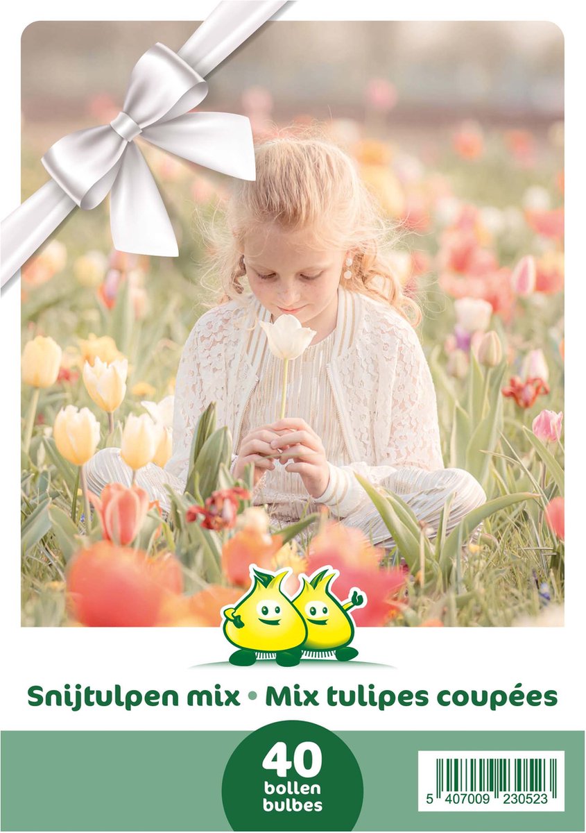 Cadeauverpakking 40 snijtulpen mix maat 12/+ - geschenkverpakking - tulpen gemengd