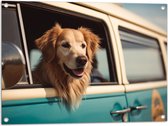 Tuinposter – Golden Retriever Hond uit Raam van Blauw Busje - 80x60 cm Foto op Tuinposter (wanddecoratie voor buiten en binnen)