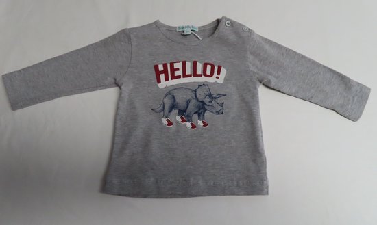 T-Shirt met lange mouw - Jongens - Grijst - Hello Dino - 18 maand 86