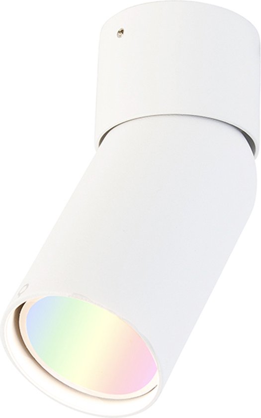 QAZQA falo - Moderne Dimbare LED Smart Plafondspot | Spotje | Opbouwspot incl. wifi met Dimmer - 1 lichts - L 10.8 cm - Wit - Woonkamer | Slaapkamer | Keuken