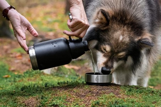 Premium hondendrinkfles voor onderweg met draagtas, 1 liter thermosfles, BPA-vrij, outdoor drinkfles voor honden voor reizen en kamperen - 