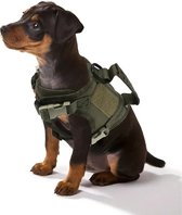 harnais pour chien petits chiens - harnais pour chiot tactique - vert armée k9 - collier pour chien