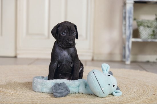 Un chiot noir est assis sur une peluche vache vert menthe avec des cornes et des oreilles grises.