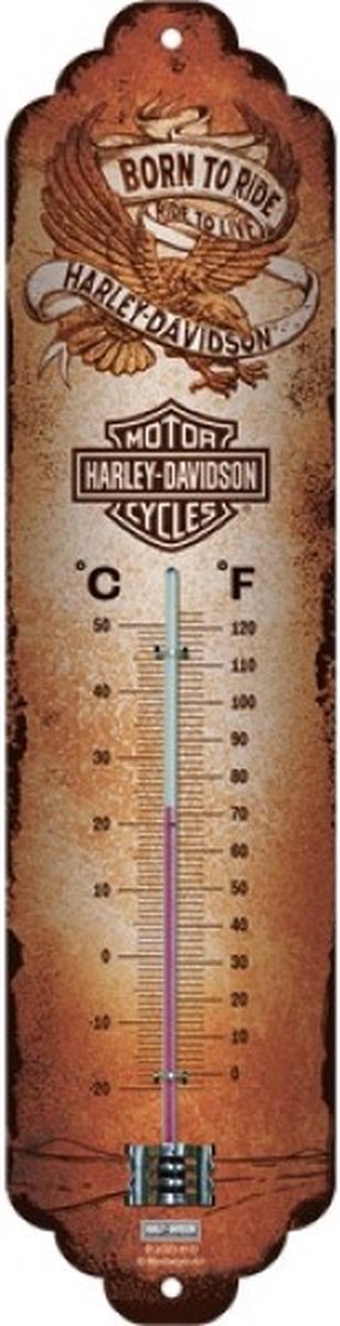 Thermometer - Harley Davidson Born To Ride Eagle