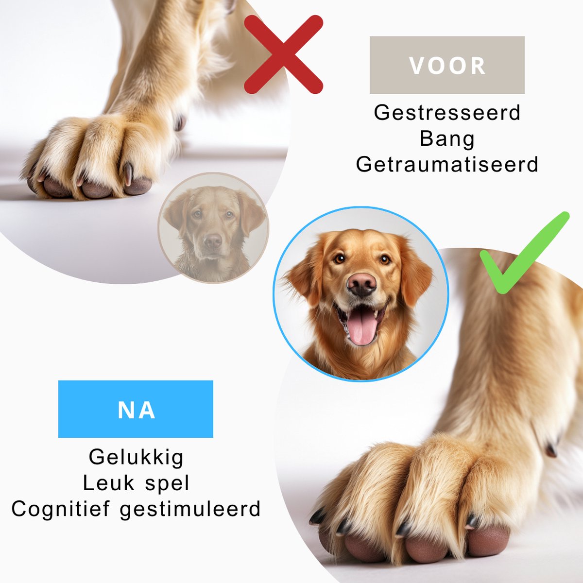 Beowanzk Nagelslijper voor honden, hondenklauwslijpmachine, klauw vijl hond, ingebouwde 6-vaks levensmiddelenwinkel, 360° rotatie (zwart Beowanzk Nagelslijper voor honden, hondenklauwslijpmachine, klauw vijl hond, ingebouwde 6-vaks levensmiddelenwinkel, 360° rotatie (zwart