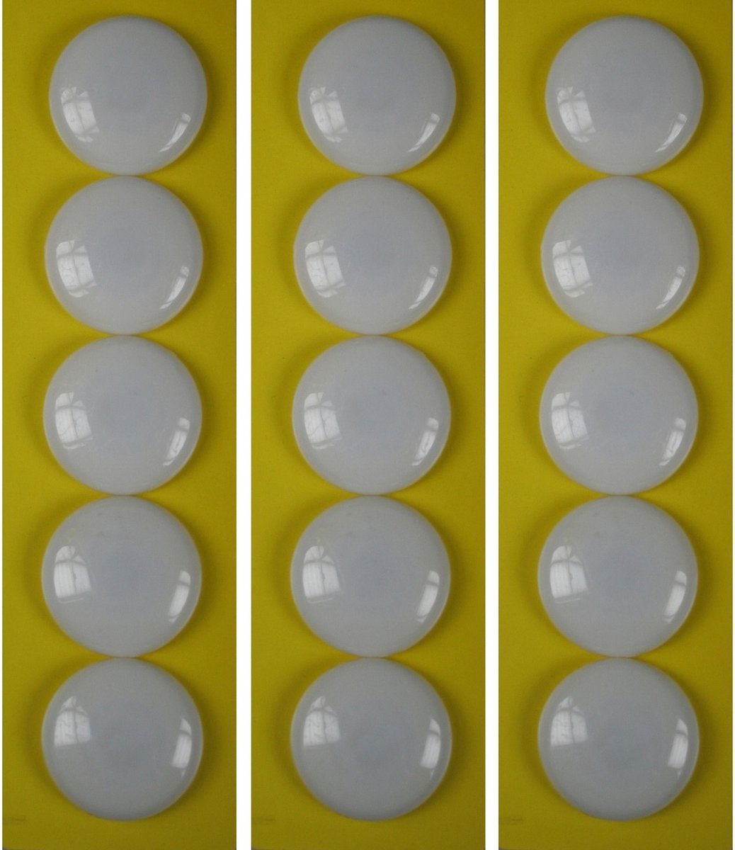 15x Ronde koelkast / whiteboard magneetjes wit plastic - Benson