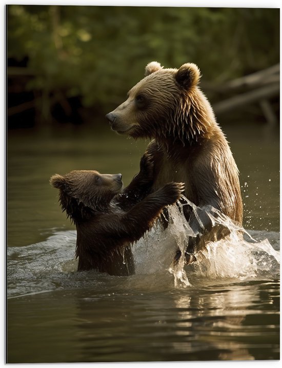 Dibond - Volwassen en kleine beer spelen en wassen in het water - 60x80 cm Foto op Aluminium (Met Ophangsysteem)