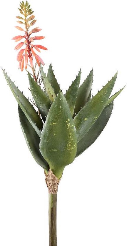 PTMD Kunstplant Succulent - 32x21x46 cm - Kunststof - Goud