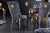 Elegante stoel MODERN BAROK grijs fluweel met gouden leeuwenkop - 42318