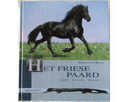 Friese Paard