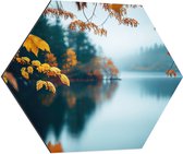 Dibond Hexagon - Boom - Herfst - Water - 80x69.6 cm Foto op Hexagon (Met Ophangsysteem)