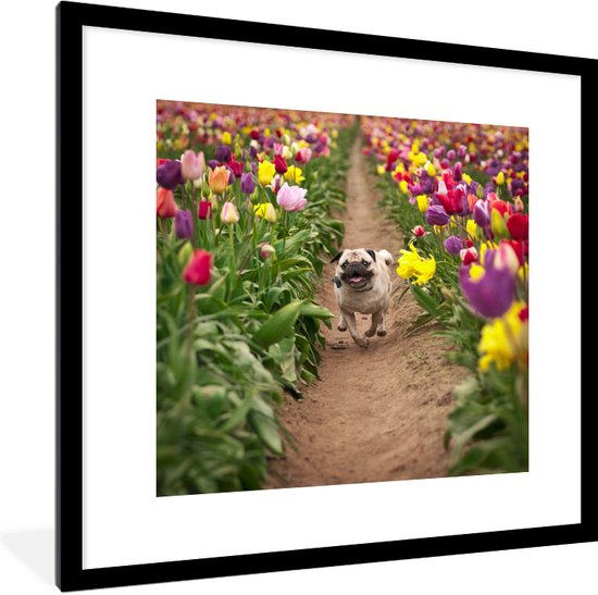 Fotolijst incl. Poster - Bloemen - Tulpen - Hond - 40x40 cm - Posterlijst