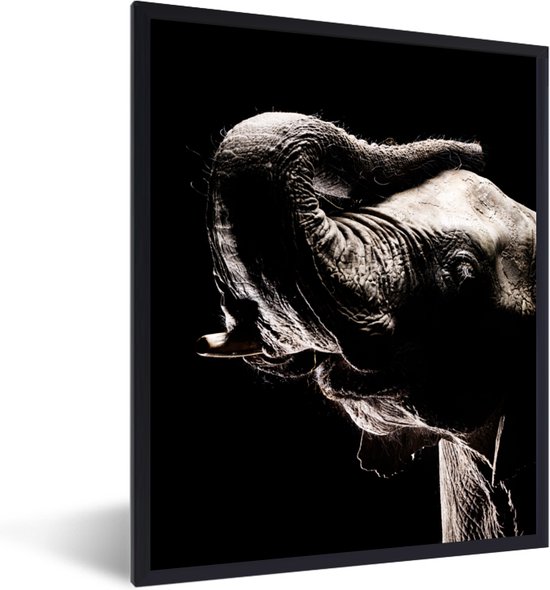 Affiche avec cadre Éléphants - Éléphant en noir et blanc - cadre photo noir - 60x80 cm - Affiche avec cadre