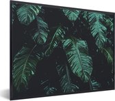 Fotolijst incl. Poster - Jungle - Palmboom - Bladeren - Tropisch - 40x30 cm - Posterlijst