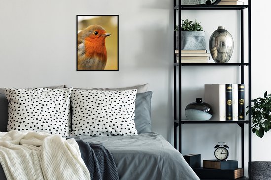 Affiche avec cadre Vogel - Robin - Portrait - 30x40 cm