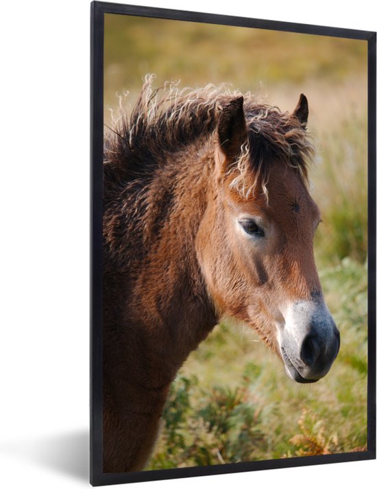 Fotolijst incl. Poster - Paard - Pony - Portret - 80x120 cm - Posterlijst