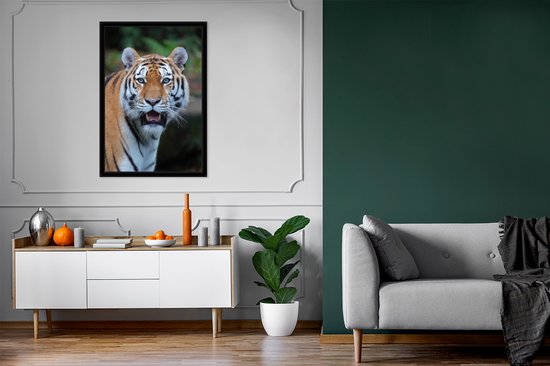 Cadre photo avec affiche - Tigres - Bâillement - Nature - 60x90 cm - Cadre pour affiche