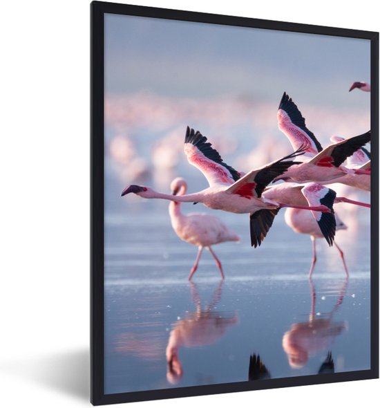Poster - Fotolijst - Flamingo - Zee - Water - Vogel - Tropical - Frame - 60x80 cm - Poster met lijst - Posterlijst - Poster flamingo - Poster kader - Muurdecoratie