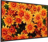Fotolijst incl. Poster - Bloemen - Oranje - Chrysant - 90x60 cm - Posterlijst