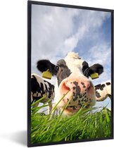 Cadre photo avec affiche - Vache - Ferme - Herbe - Animaux - 60x90 cm - Cadre pour affiche