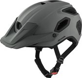 Alpina Comox Helmet, grijs Hoofdomtrek 57-62cm