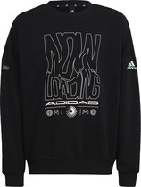adidas Sportswear Loose Fit ARKD3 Sweatshirt - Kinderen - Zwart- 176