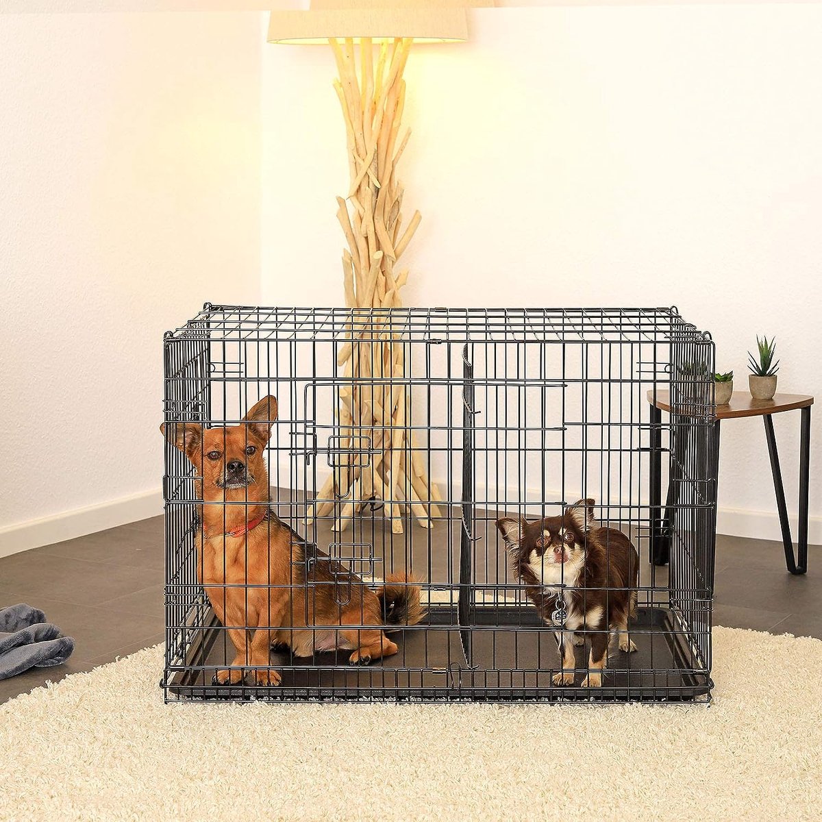 cage de transport chien, portes doubles & cloison séparée
