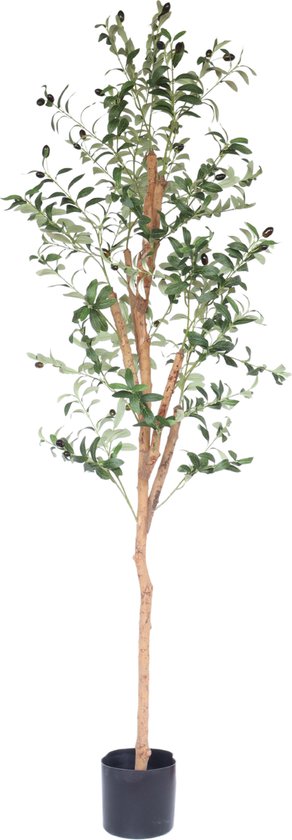 Kunst Olijfboom 170cm | Olijf Kunstplant | Kunstplant voor binnen | Nepplant Olijf | Hoogwaardige Nep planten | Valse Olijfboom