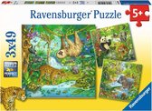 Ravensburger Kinderpuzzel In het oerwoud - 3 x 49 stukjes