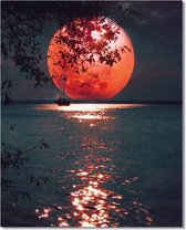 Bougimal Peinture par numéro DIY au pinceaux et à l'acrylique pour décoration de chambre Cadeau - Sans cadre 40*50 cm "Fantastique nuit au clair de lune + Lune rouge"