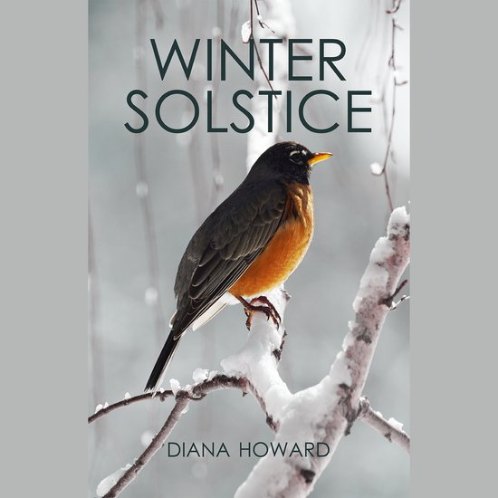 Winter Solstice - cover