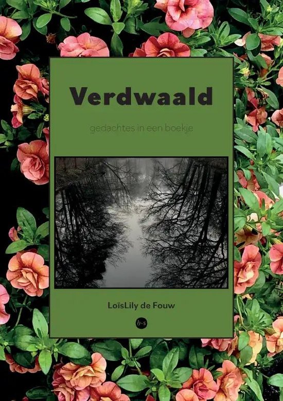 Verdwaald, LoïsLily de Fouw 9789464687019 Boeken bol